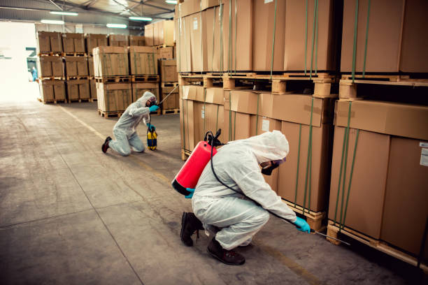 Best Termite Control Services  in Lauderdale By The Sea, FL