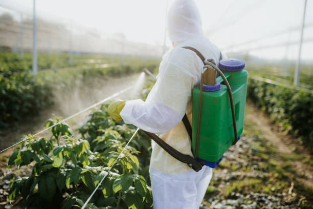 Pest Control Cost in Lauderdale By The Sea, FL